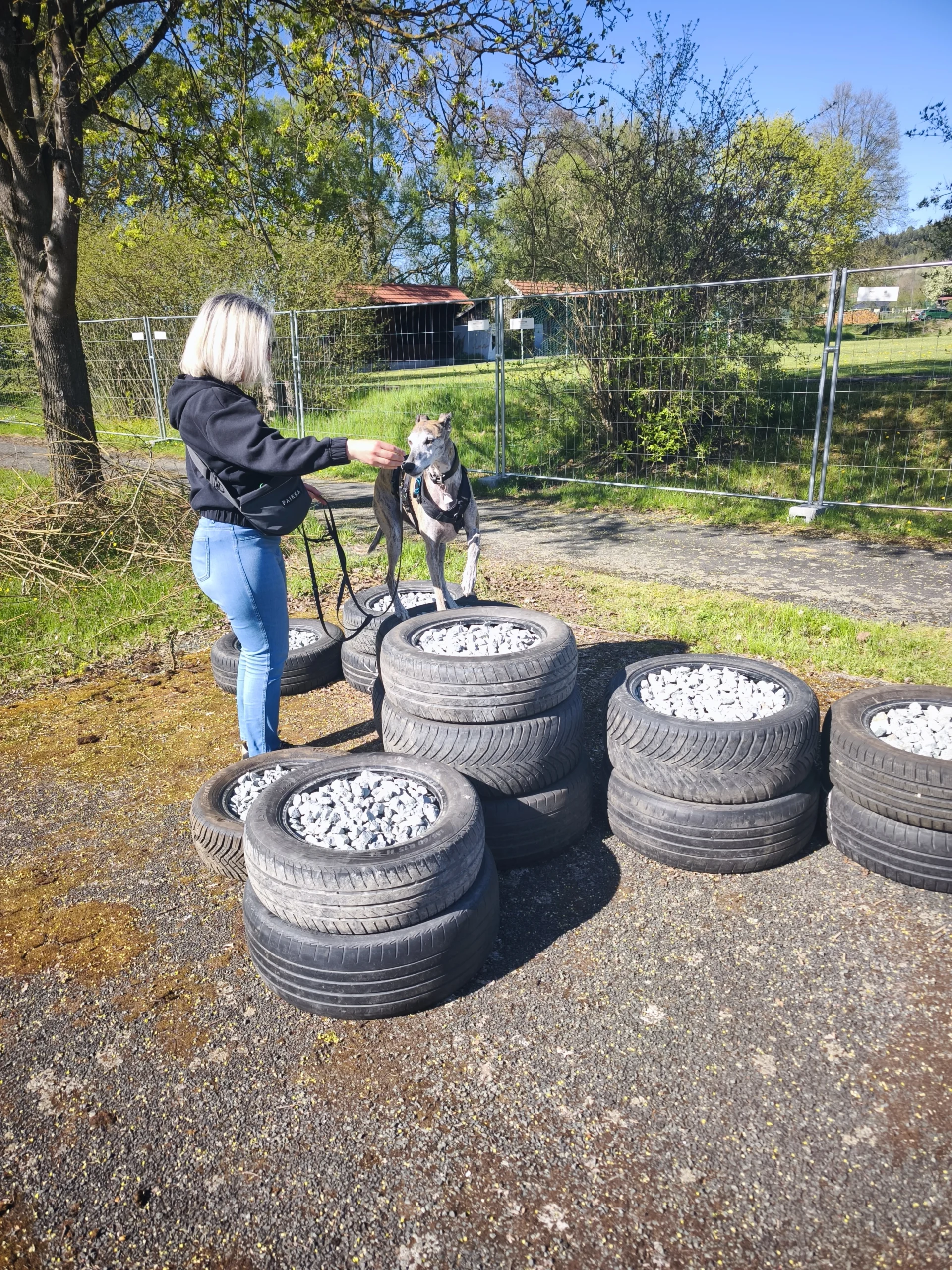 1787999986848 Übungen bei der Hundeschule Best Buddies im Himmelkorn, Bayreuth und Kulmbach am eigenen Hundeplatz