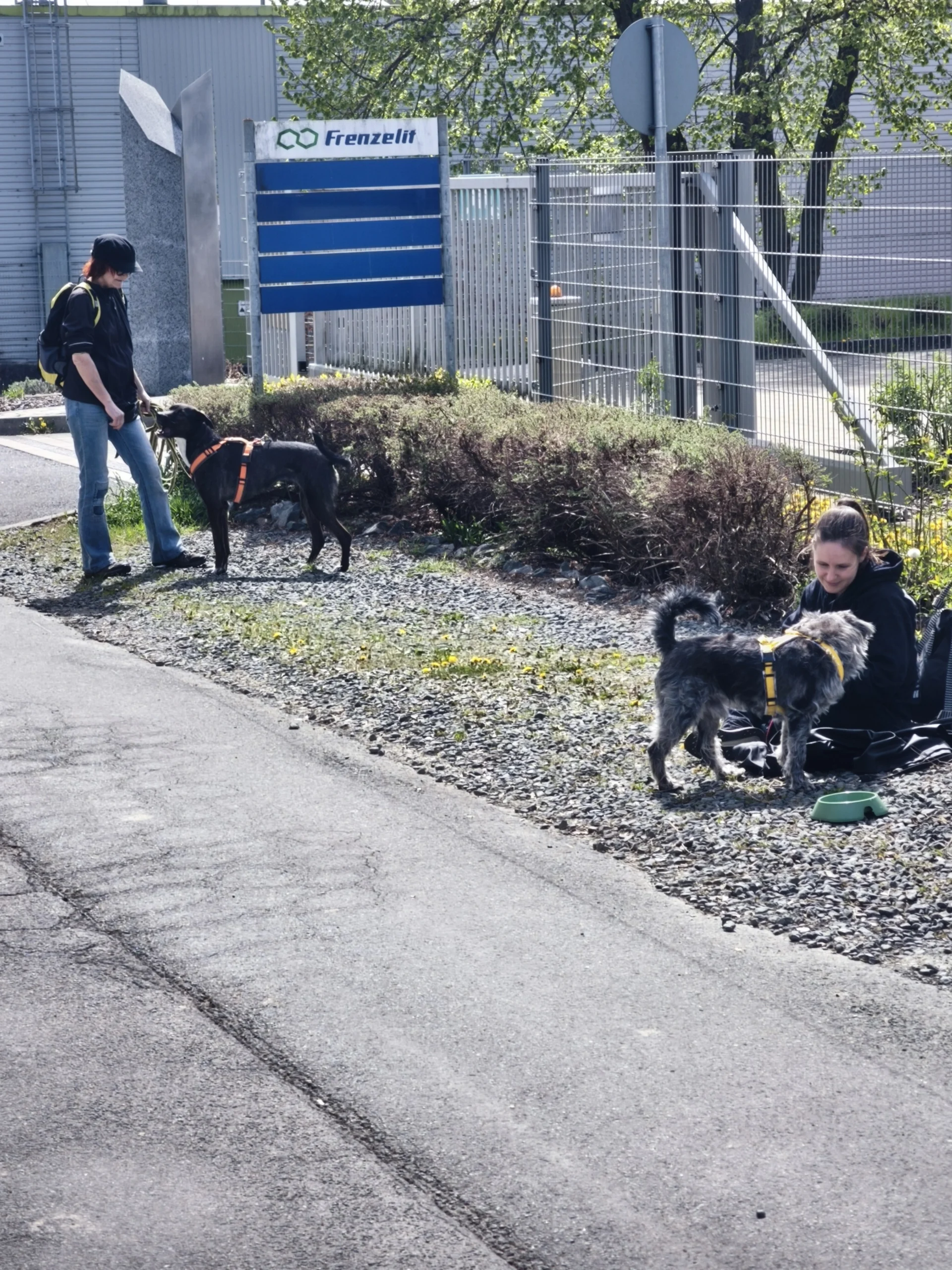 1788001142684 Social Walks bei der Hundeschule Best Buddies in Himmelkron, Kulmbach und Bayreuth.
