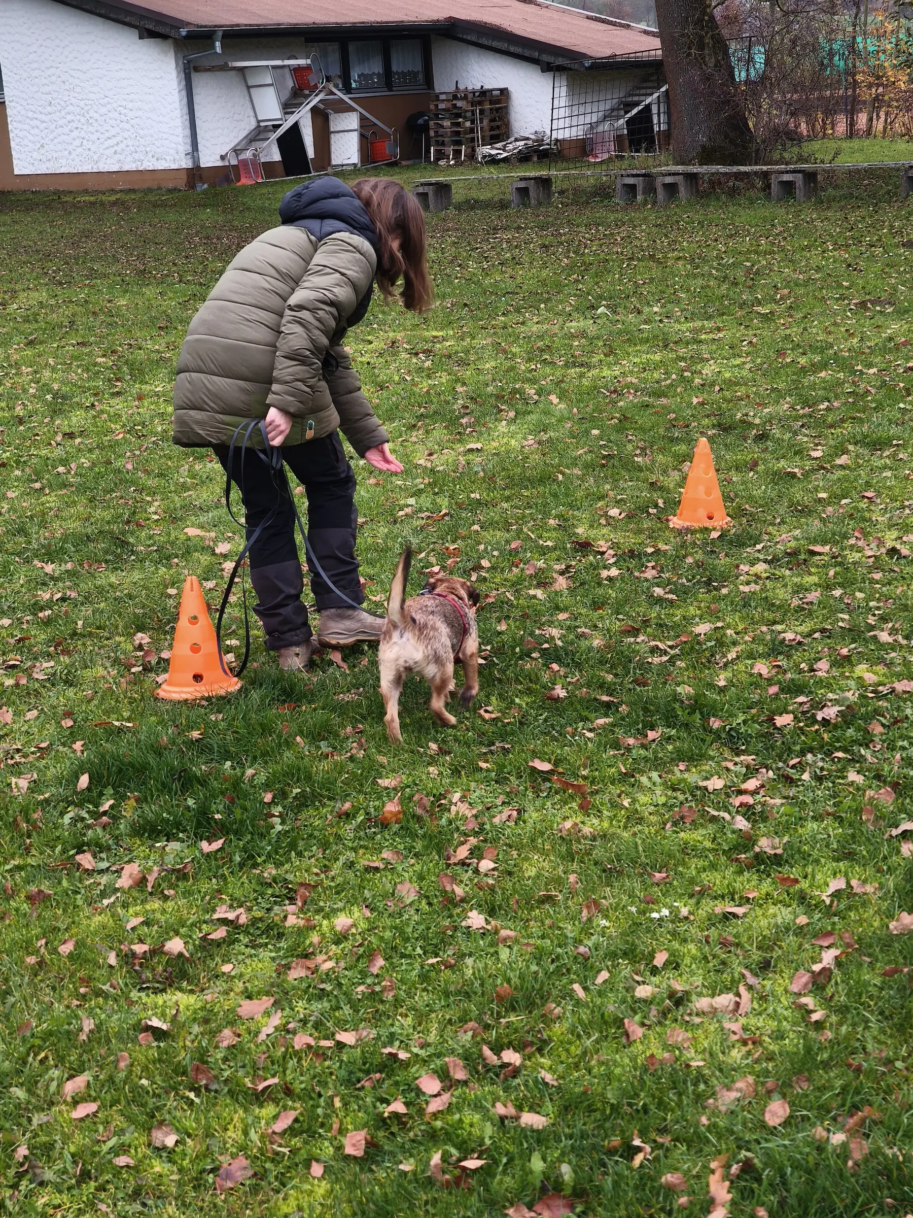 Gruppentraining bei der Hundeschule Best Buddies in Himmelkron, Kulmbach und Bayreuth.