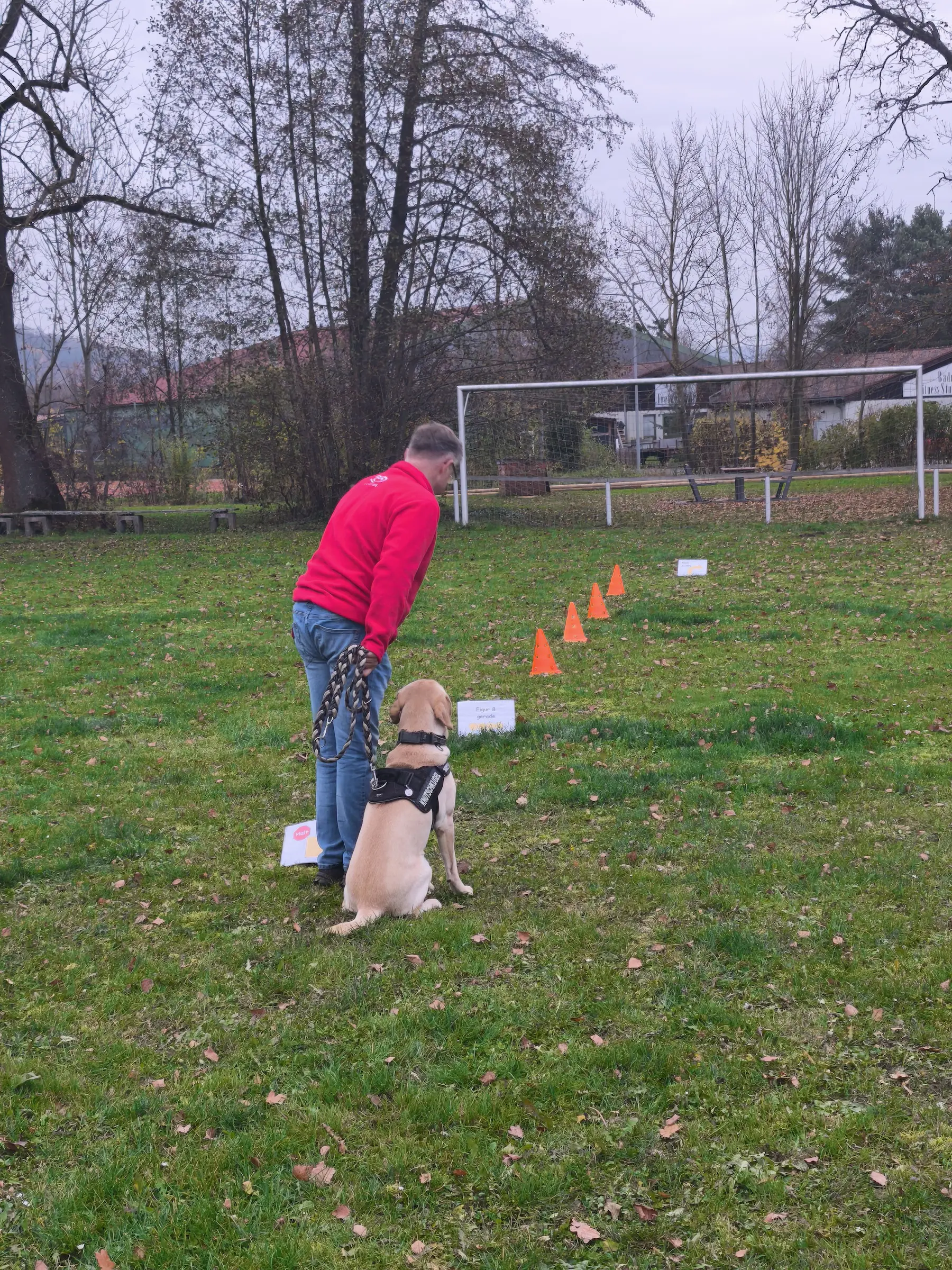 Gruppentraining am Hundeplatz der Hundeschule Best Buddies in Himmelkron, Kulmbach und Bayreuth.