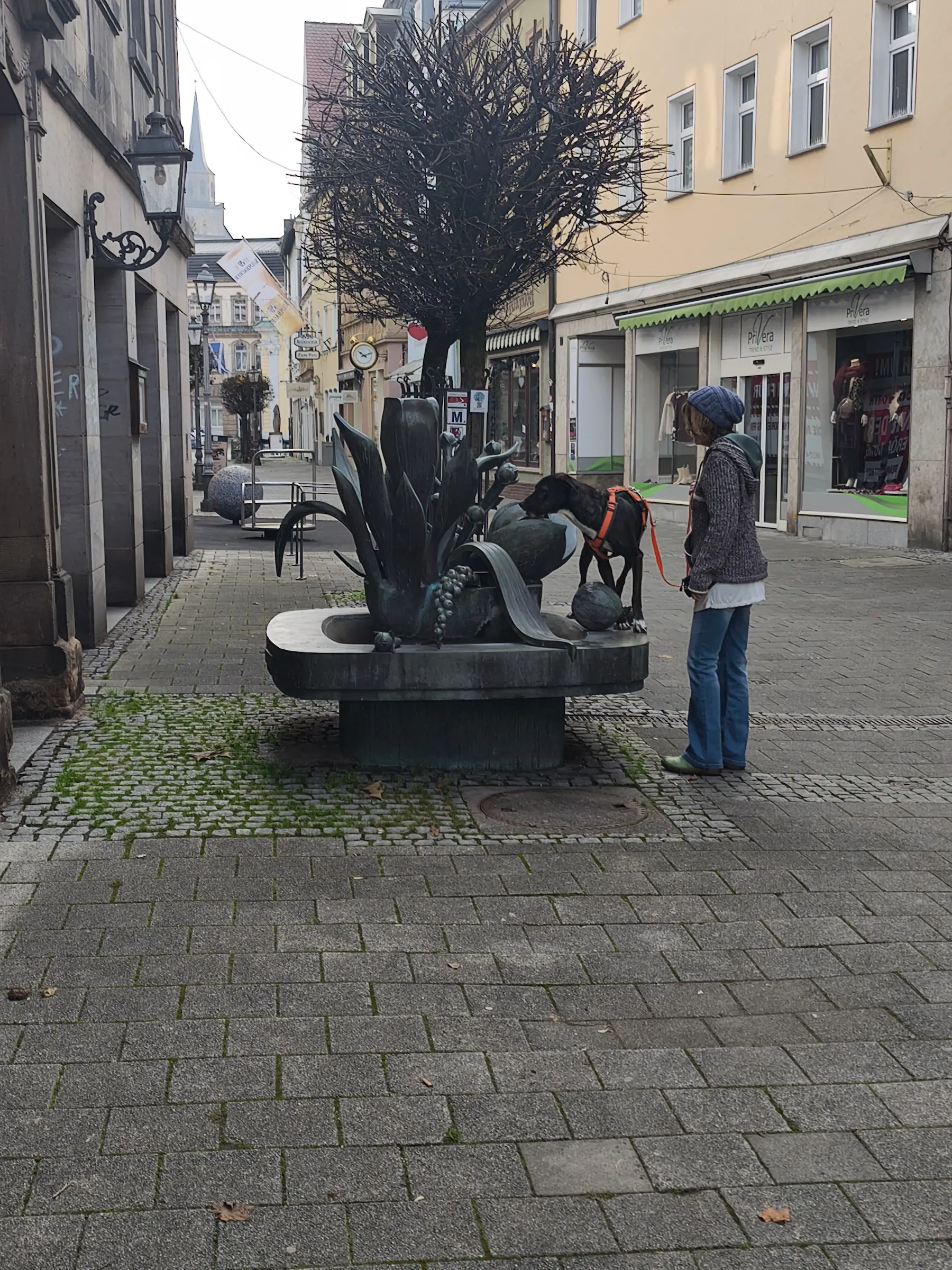 Training für Hunde der Hundeschule Best Buddies in Kulmbach