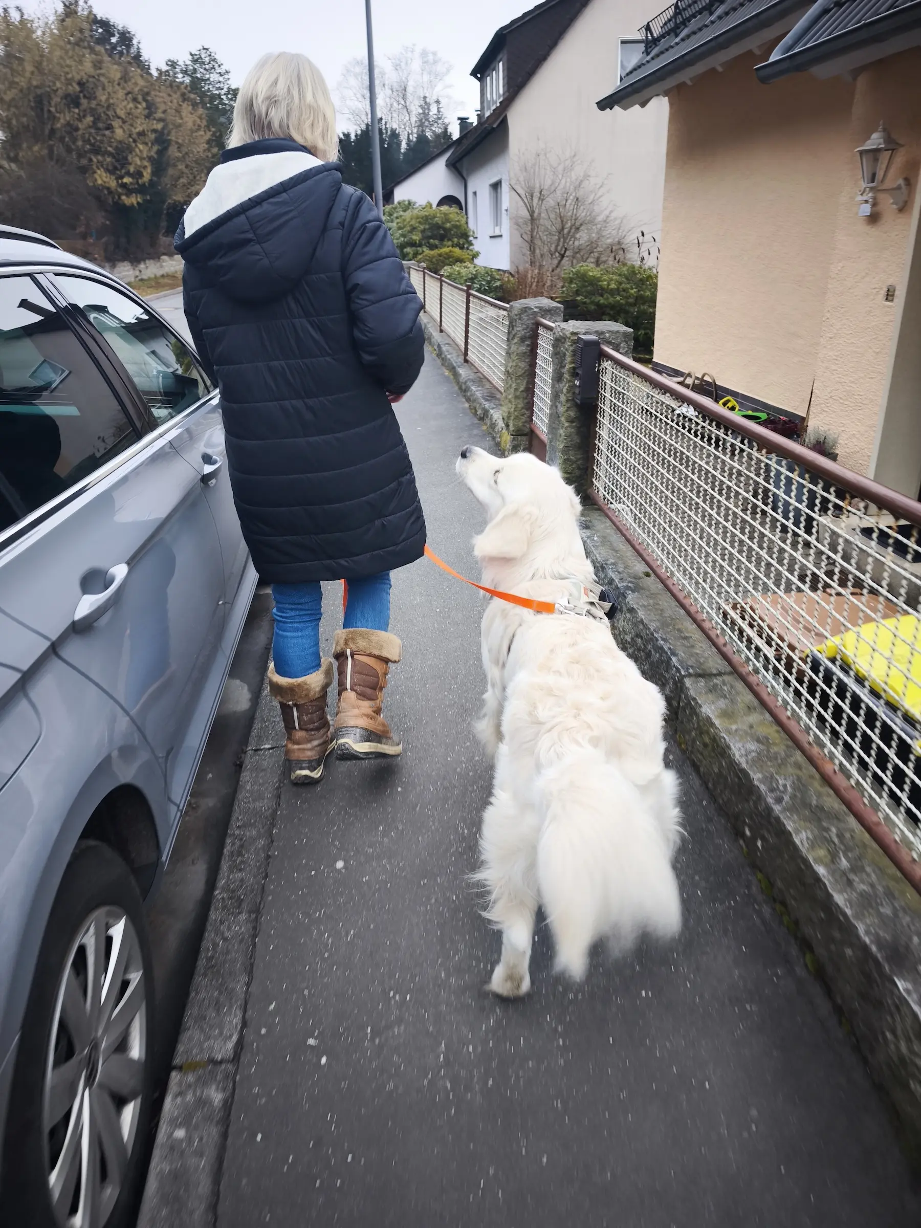 Social Walks bei der Hundeschule Best Buddies in Himmelkron, Kulmbach und Bayreuth.