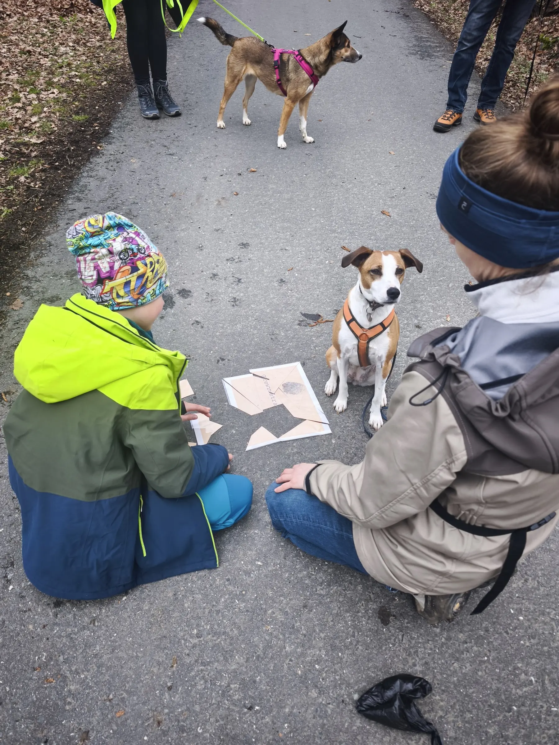 Social Walks bei der Hundeschule Best Buddies in Himmelkron, Kulmbach und Bayreuth.