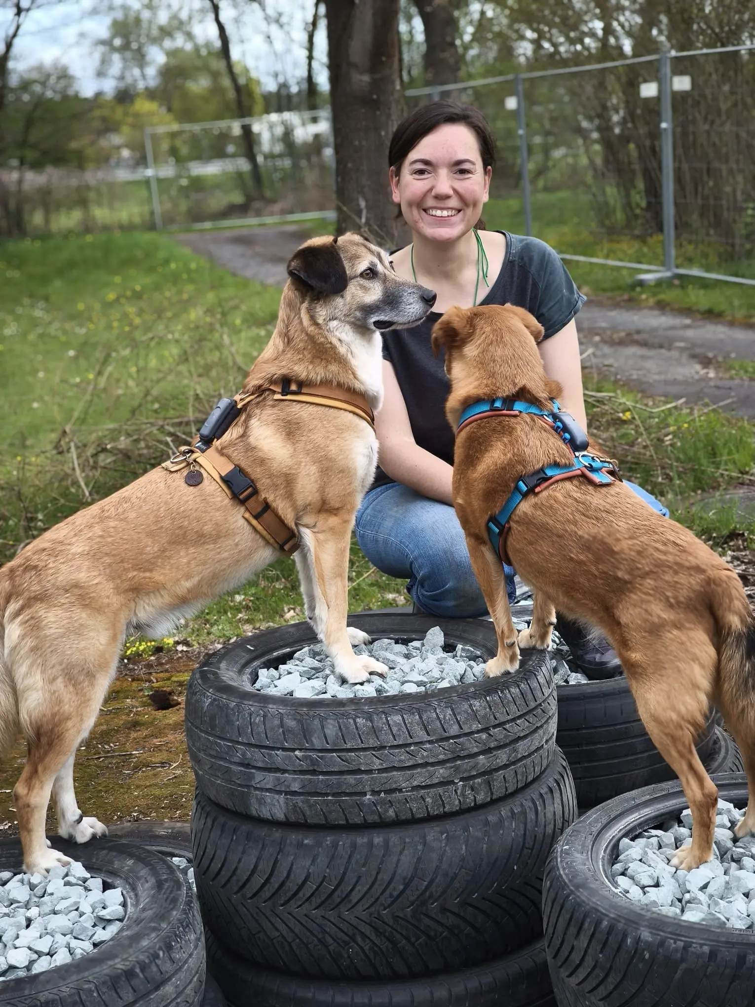 Antonia Beyerlein - Inhaberin der Hundeschule best Buddies mit Ihrem Hunderudel