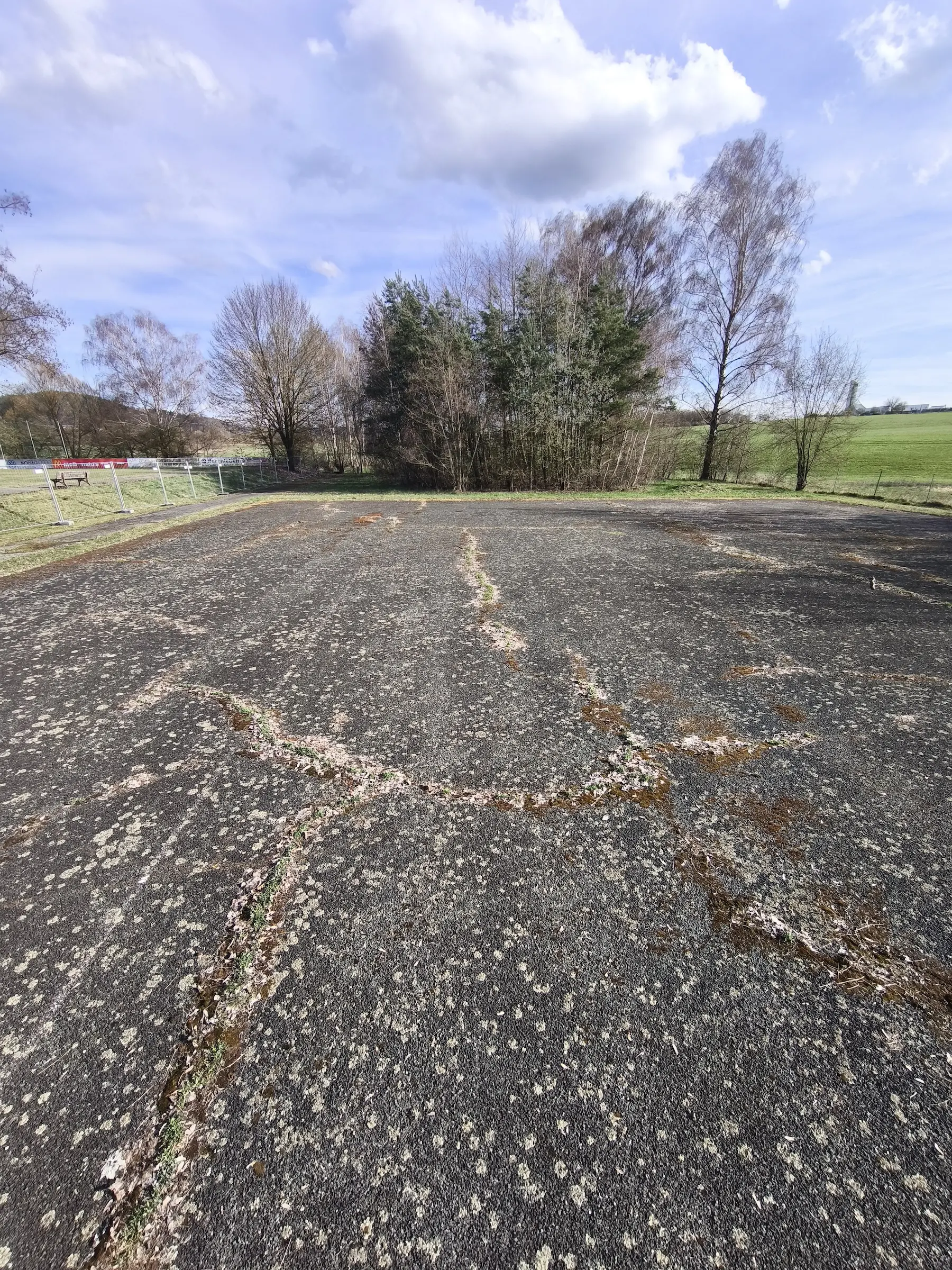 Ansicht des Hundeplatzes der Hundeschule Best Buddies aus Himmelkron in Oberfranken